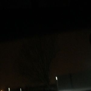 Meet your Posher, Dillon